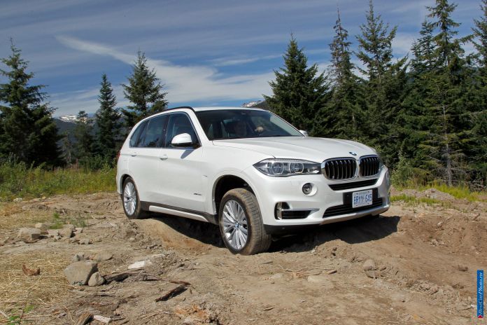 2014 BMW X5 - фотография 18 из 179