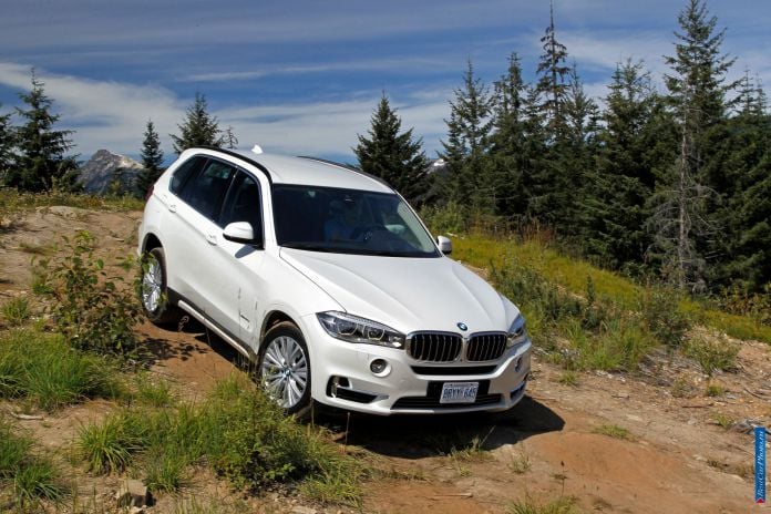 2014 BMW X5 - фотография 19 из 179 2014 BMW X5 - фотография 19 из 179