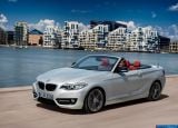 bmw_2015_2-series_convertible_012.jpg