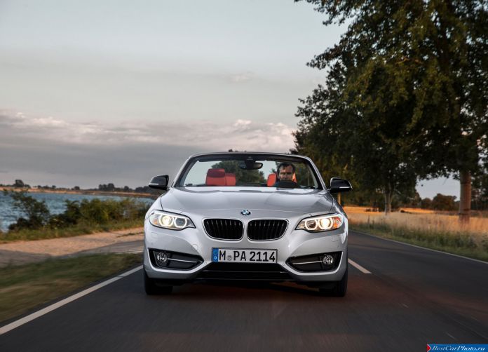 2015 BMW 2-Series Convertible - фотография 33 из 63