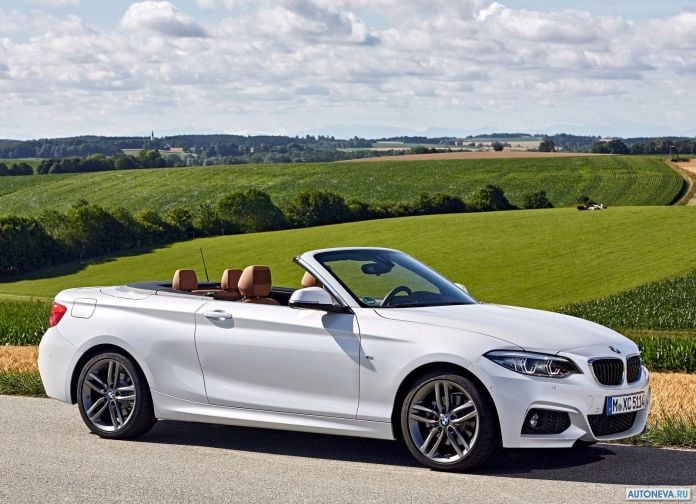 2018 BMW 2-series Convertible - фотография 6 из 108