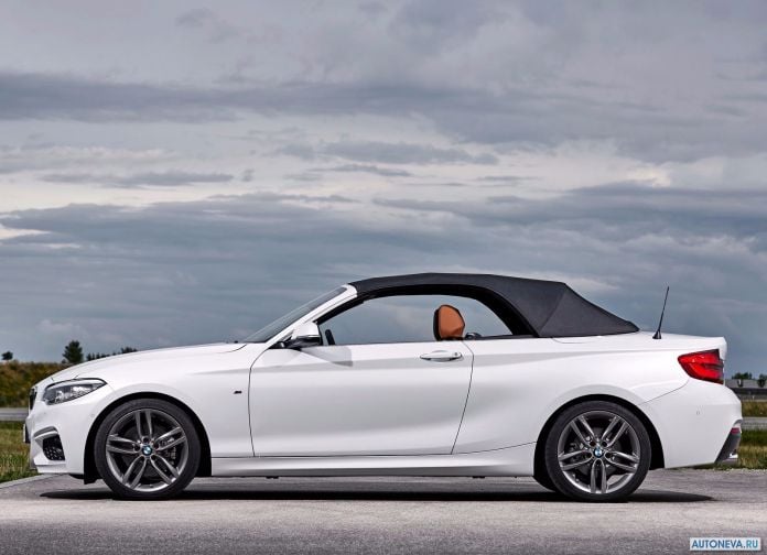 2018 BMW 2-series Convertible - фотография 35 из 108 2018 BMW 2-series Convertible - фотография 35 из 108