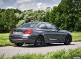 bmw_2018_2_series_coupe_032.jpg