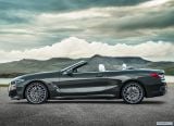 bmw_2019_8_series_convertible_012.jpg