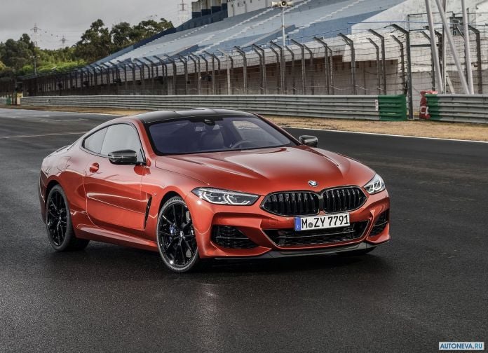 2019 BMW 8-series Coupe - фотография 8 из 240