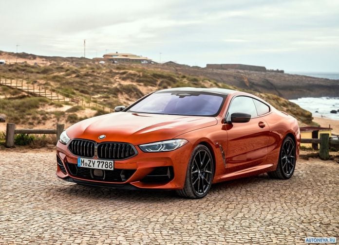 2019 BMW 8-series Coupe - фотография 19 из 240