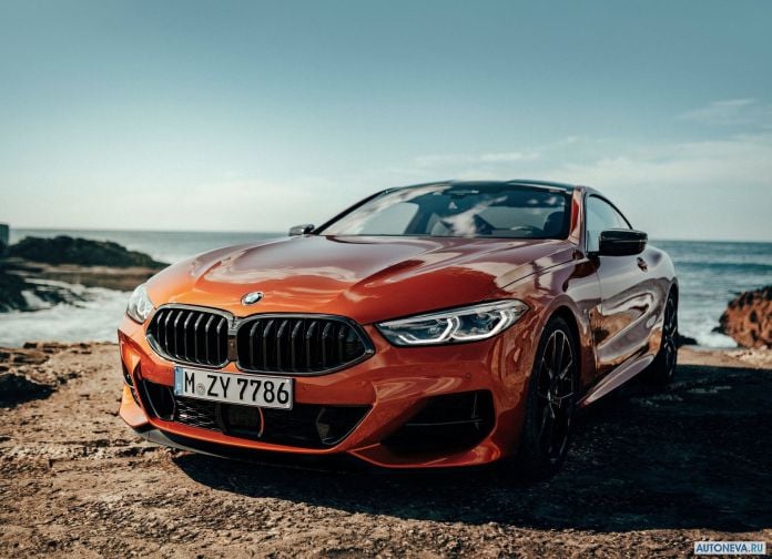 2019 BMW 8-series Coupe - фотография 20 из 240