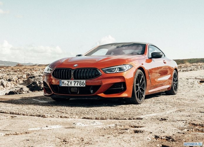2019 BMW 8-series Coupe - фотография 21 из 240