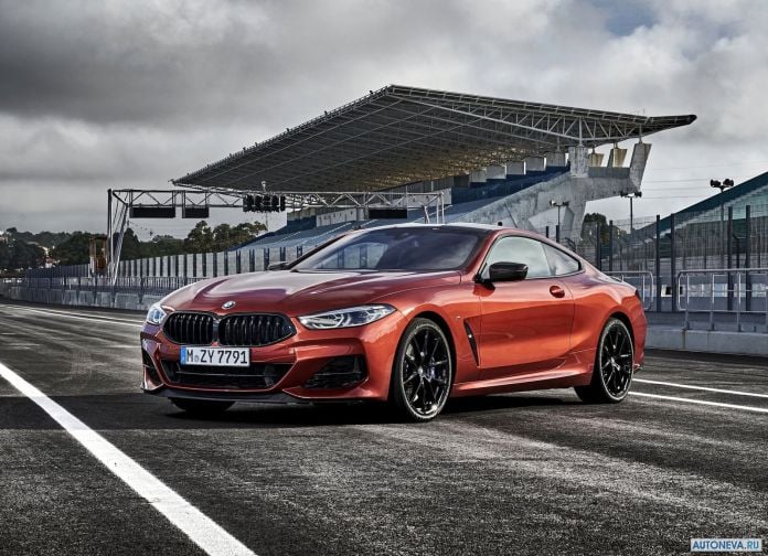 2019 BMW 8-series Coupe - фотография 23 из 240