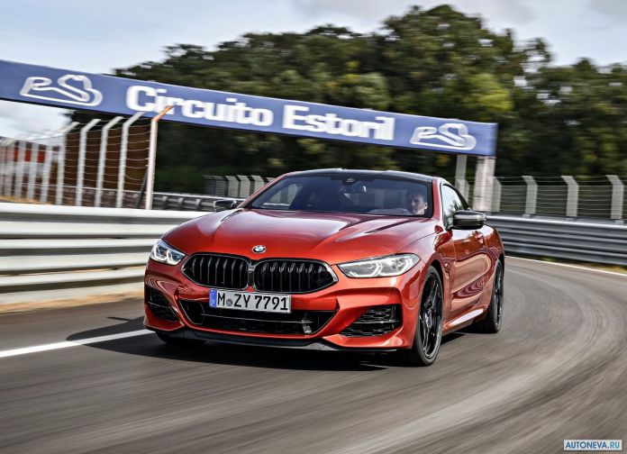 2019 BMW 8-series Coupe - фотография 38 из 240