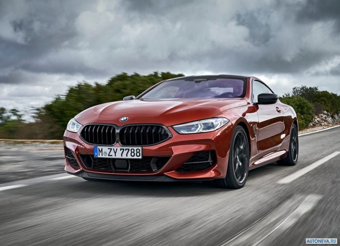 2019 BMW 8-series Coupe - фотография 50 из 240
