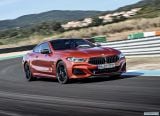 bmw_2019_8_series_coupe_070.jpg