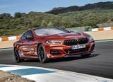 bmw_2019_8_series_coupe_071.jpg
