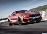 bmw_2019_8_series_coupe_073.jpg