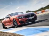 bmw_2019_8_series_coupe_076.jpg