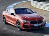 bmw_2019_8_series_coupe_078.jpg