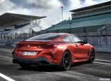 bmw_2019_8_series_coupe_104.jpg