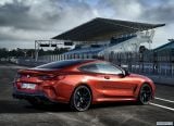 bmw_2019_8_series_coupe_105.jpg