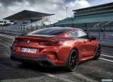 bmw_2019_8_series_coupe_106.jpg