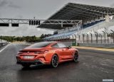 bmw_2019_8_series_coupe_107.jpg
