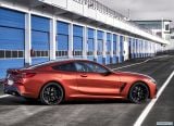 bmw_2019_8_series_coupe_108.jpg