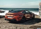 bmw_2019_8_series_coupe_109.jpg