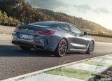 bmw_2019_8_series_coupe_114.jpg