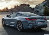 bmw_2019_8_series_coupe_116.jpg