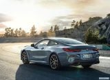bmw_2019_8_series_coupe_119.jpg