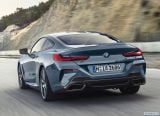 bmw_2019_8_series_coupe_122.jpg