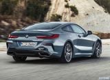 bmw_2019_8_series_coupe_123.jpg