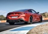bmw_2019_8_series_coupe_124.jpg