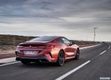 bmw_2019_8_series_coupe_126.jpg