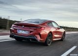bmw_2019_8_series_coupe_127.jpg