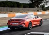 bmw_2019_8_series_coupe_128.jpg