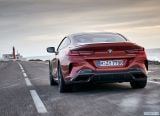 bmw_2019_8_series_coupe_130.jpg