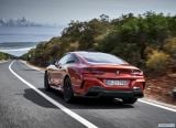 bmw_2019_8_series_coupe_134.jpg
