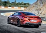 bmw_2019_8_series_coupe_135.jpg
