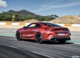 bmw_2019_8_series_coupe_136.jpg