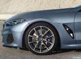 bmw_2019_8_series_coupe_214.jpg