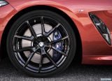 bmw_2019_8_series_coupe_216.jpg