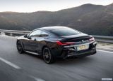 bmw_2019_8_series_coupe_uk_version_034.jpg