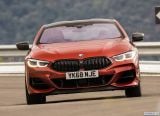 bmw_2019_8_series_coupe_uk_version_041.jpg