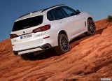 bmw_2019_x5_106.jpg