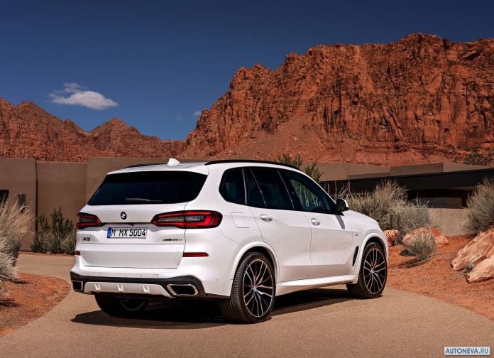 2019 BMW X5 - фотография 107 из 245