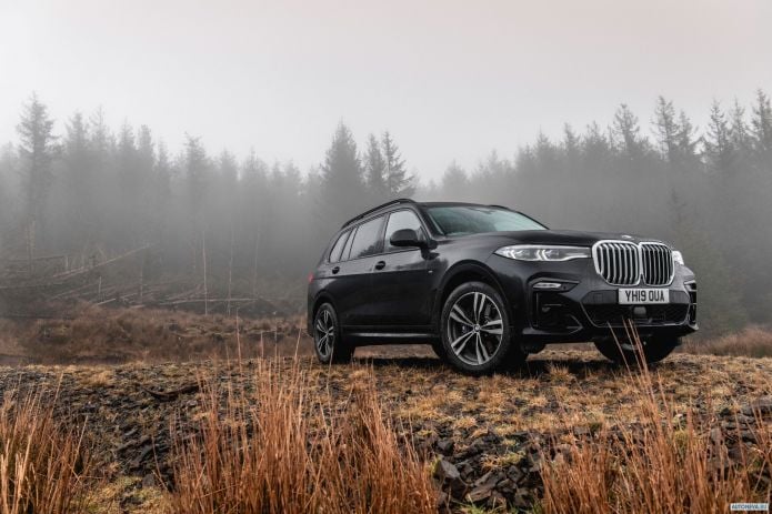 2019 BMW X7 xDrive30d M Sport UK - фотография 18 из 40