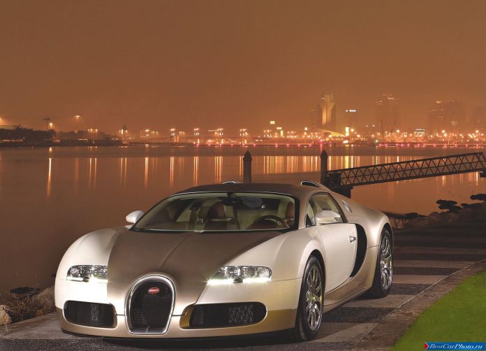 2009 Bugatti Veyron - фотография 29 из 89