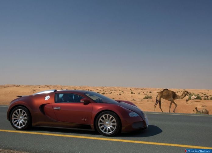 2009 Bugatti Veyron - фотография 40 из 89