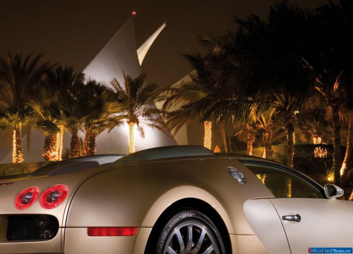 2009 Bugatti Veyron - фотография 70 из 89