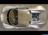 bugatti_2009-veyron_1600x1200_080.jpg